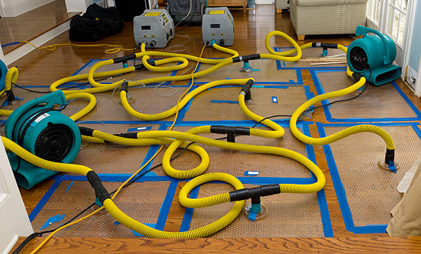 Professional Crawl Space Water Removal technician working in Hope, IN